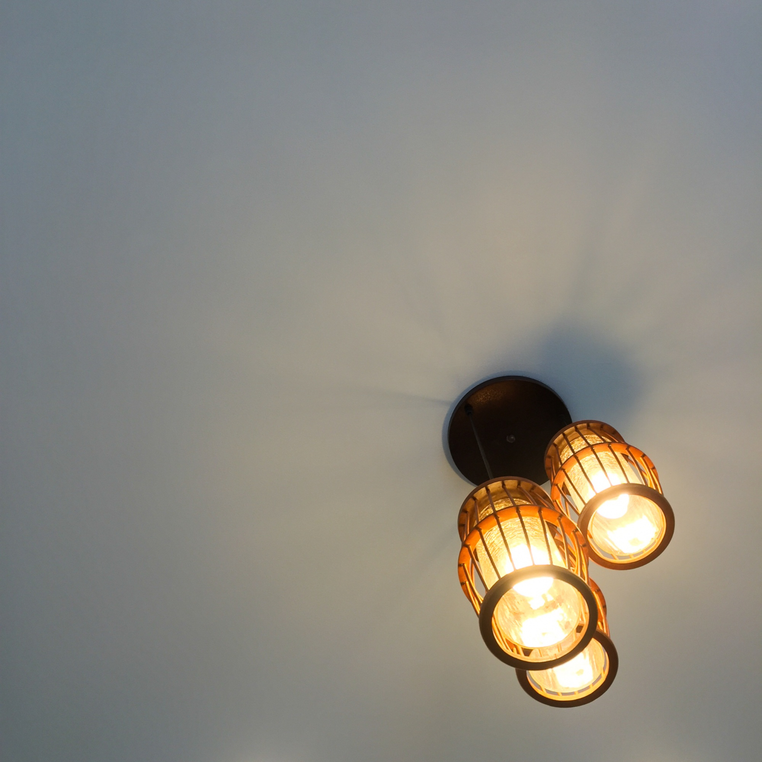 Flood Light